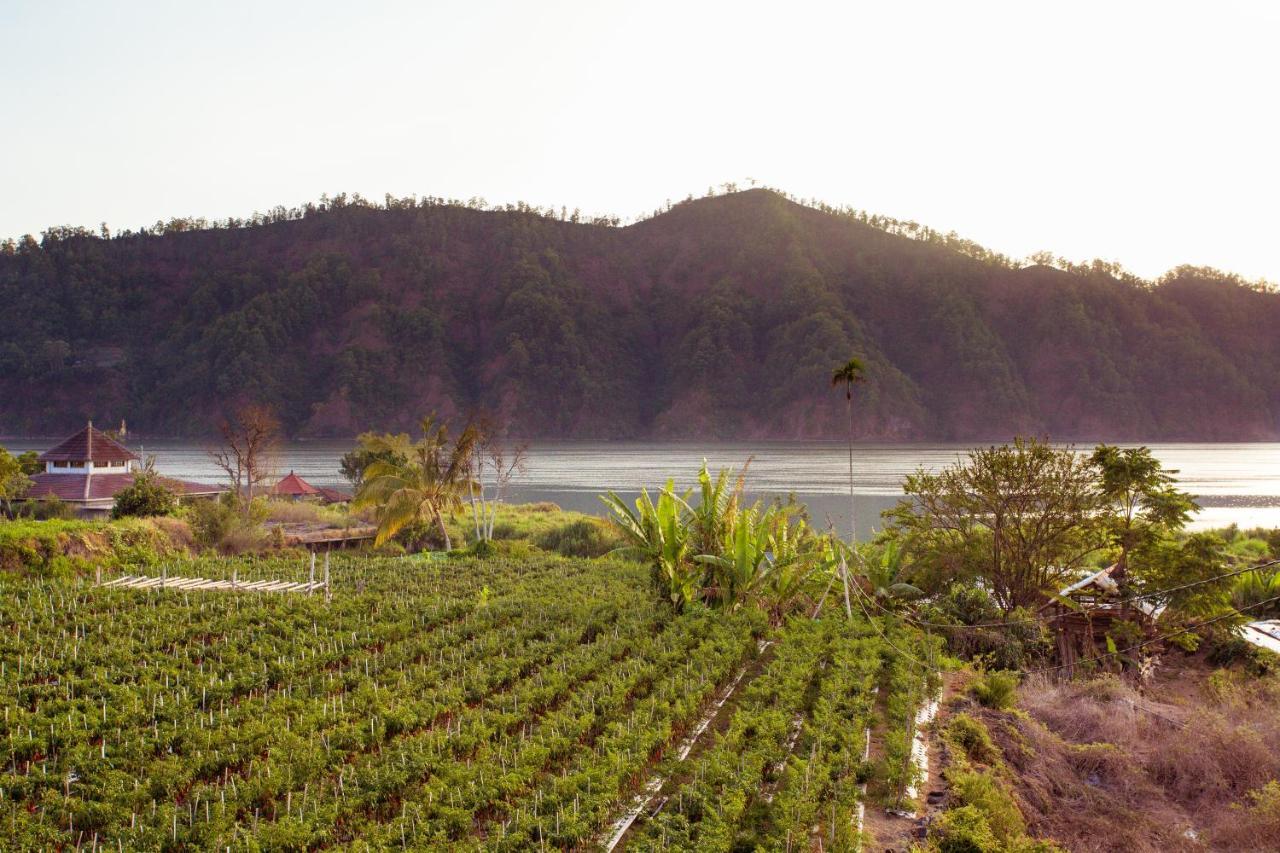 Villa Jempana Kintamani ภายนอก รูปภาพ